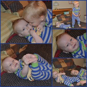 Read more about the article Best of buds