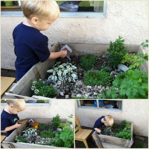 Read more about the article Elf Garden today