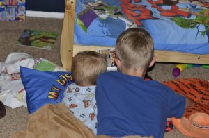 Read more about the article 