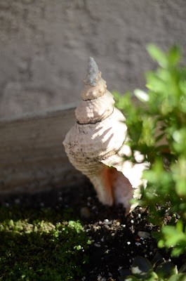 You are currently viewing “Elf Garden”