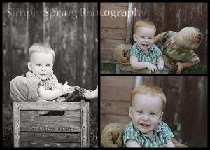 Read more about the article 