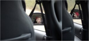 Read more about the article Chicken farms