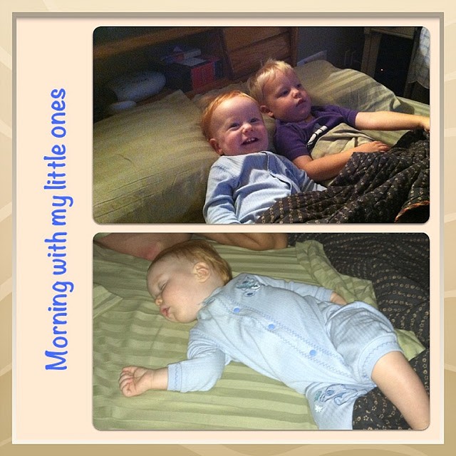 You are currently viewing My littlest babies