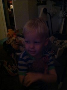 Read more about the article Chickens so early in the morning?!