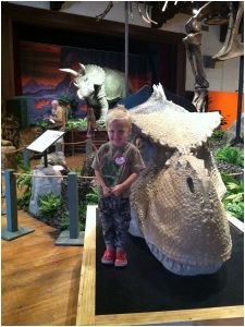 Read more about the article few cell shots of our trip