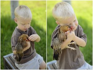 Read more about the article A boy and his chicken
