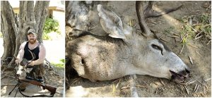 Read more about the article Little brother Levi’s hunt