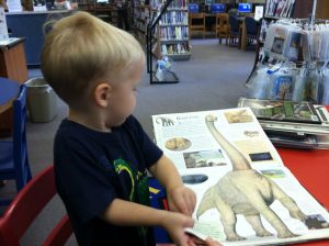 Read more about the article Library Fun