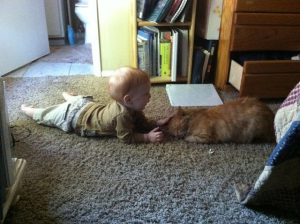 Read more about the article Kitty Love