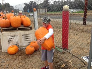 Read more about the article Pumpkin Patch Fun