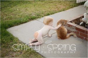 Read more about the article Pumpkin Butt