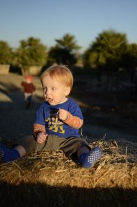 Read more about the article Hayride