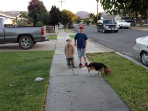 Read more about the article Family walk