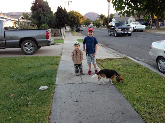 You are currently viewing Family walk