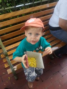 Read more about the article Disneyland Day with Luke