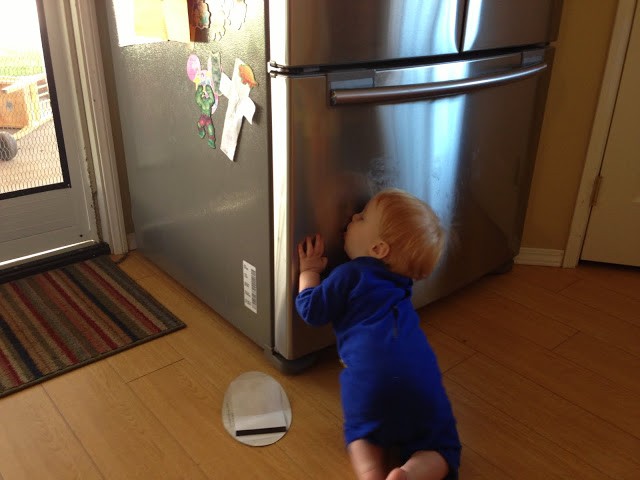 You are currently viewing Kissing the fridge