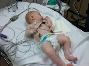 Read more about the article 2012 reflections