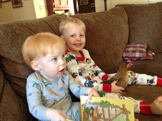 You are currently viewing Almost a year and NOT seizure free.