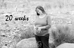 Read more about the article Half way there……