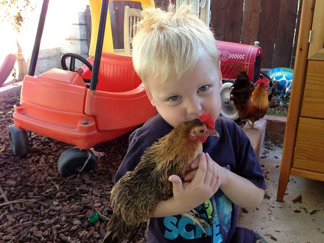 You are currently viewing A Boy and the love for his “Girl”