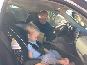 Read more about the article Hatching quail