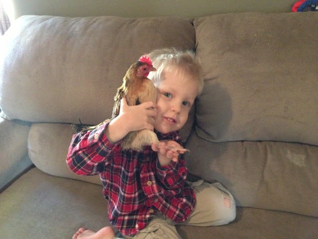 You are currently viewing girl update