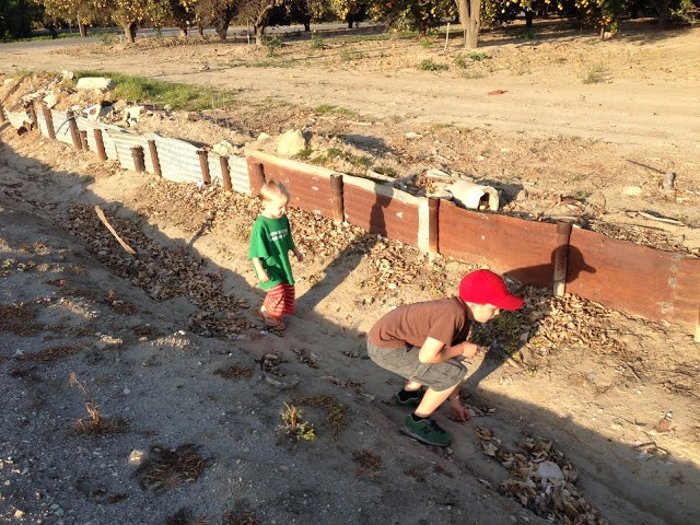 You are currently viewing St. Patricks Day Fun