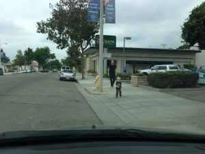 Read more about the article 30 weeks