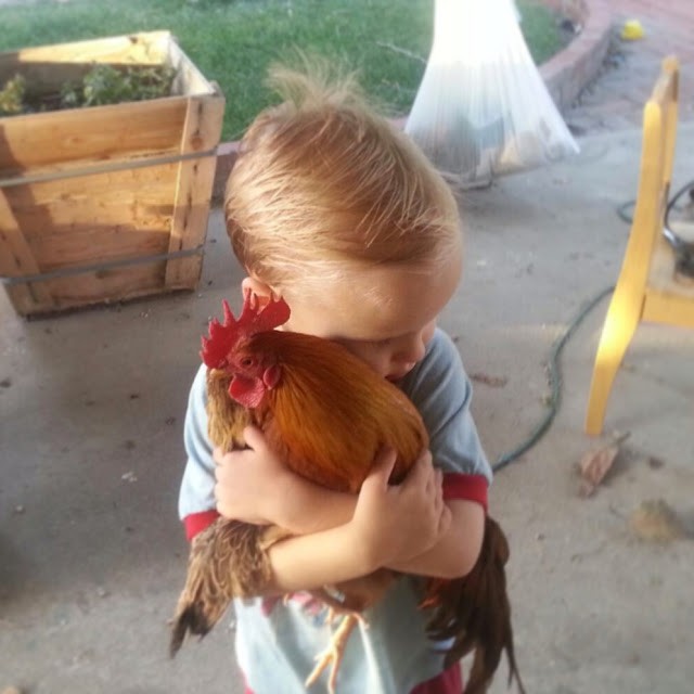 Read more about the article Pure love…A boy with Girl and Rooster