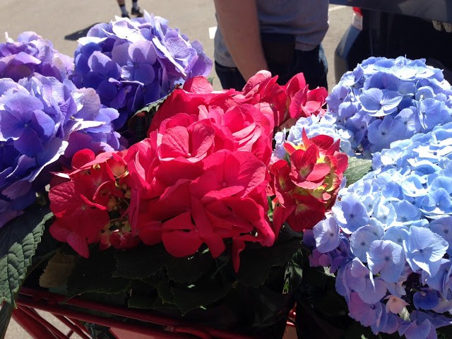 You are currently viewing Date