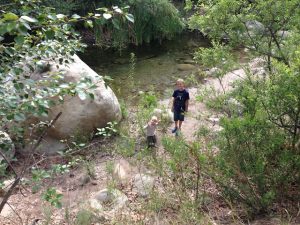 Read more about the article Back during Easter Break during APRIL 4th