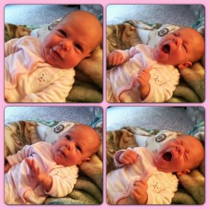 Read more about the article Eden Amelia