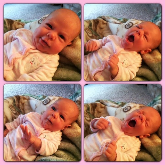 You are currently viewing Eden Amelia