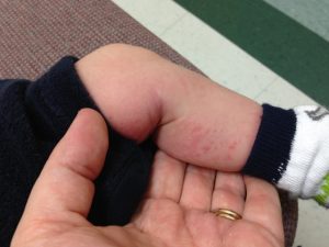 Read more about the article First church day for Titus