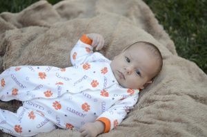 Read more about the article Titus Glenn 7 weeks old