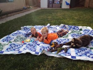 Read more about the article A nice winter day