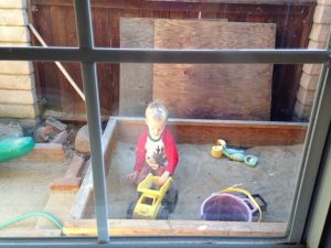 Read more about the article A day…..