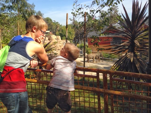You are currently viewing Zoo Trip