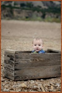 Read more about the article Titus Glenn