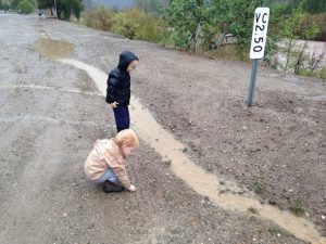 Read more about the article Rain rain rain…….