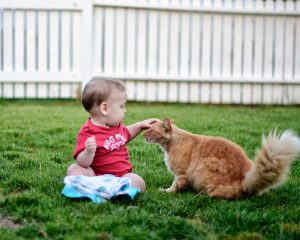 Read more about the article 10 month baby boy…. Titus Glenn