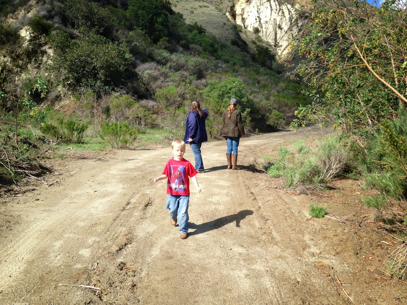 Read more about the article Lupins 2014