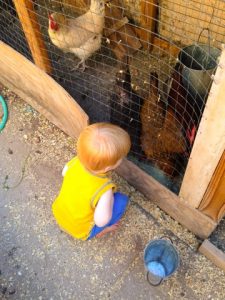 Read more about the article Sweet Gideon Josiah