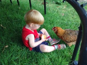 Read more about the article Coop cleaning day