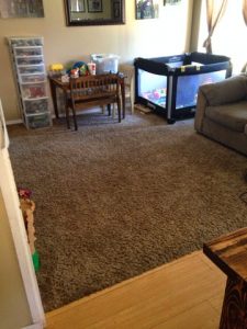 Read more about the article Surprise