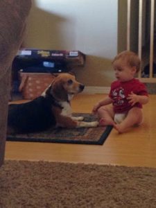 Read more about the article Skip