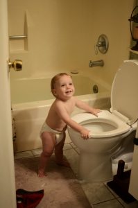 Read more about the article 13 months