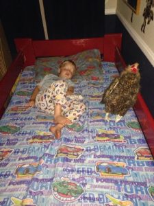 Read more about the article The move