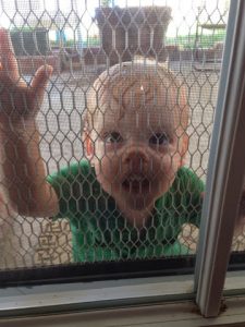 Read more about the article Buddies