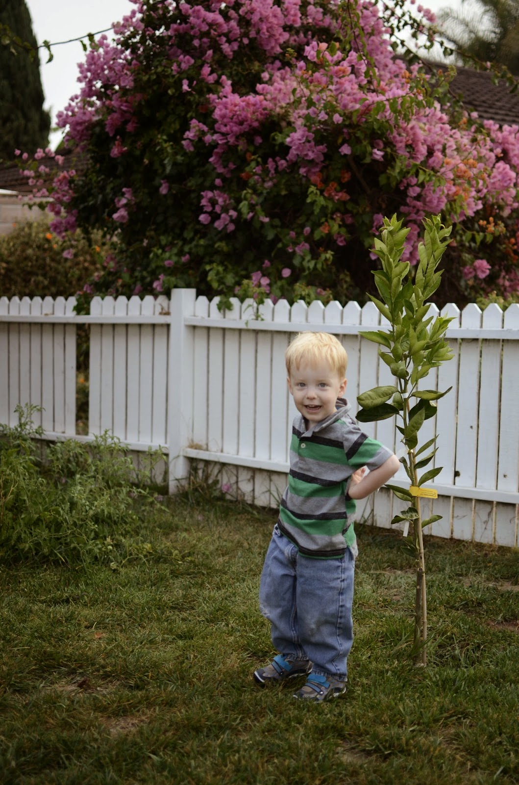 You are currently viewing Gideon’s first day of preschool Sept 2nd